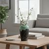 Stable & Protective: Features anti-slip pads to keep the vase secure and protect furniture surfaces.