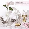 36PCS Vintage Clear Glass Bud Vases Bulk Set