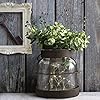 Farmhouse Glass Vase for Floral Arrangements