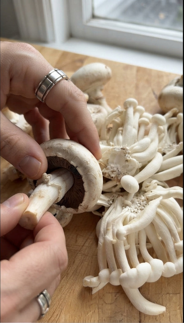 Wipe mushrooms clean with a damp cloth (avoid washing directly under running water). Slice King Oyster and Champignon into bite-sized pieces; separate Shimeji clusters.