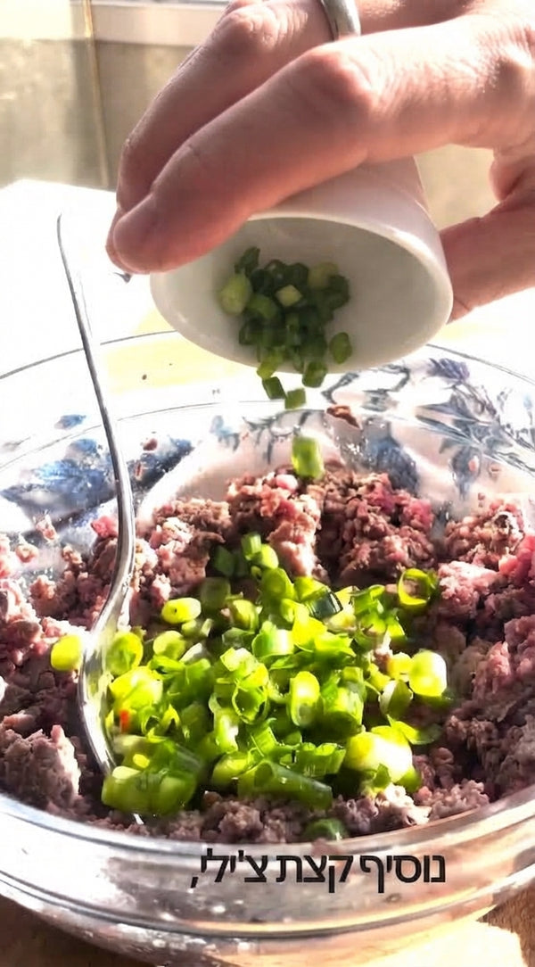 In a bowl, mix minced meat, soy sauce, sesame oil, grated ginger, garlic, spring onions, Baharat, salt, and pepper until combined.